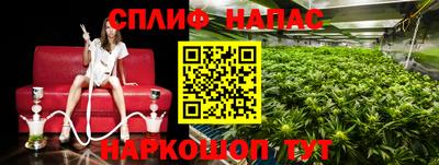 ПСИЛОЦИБИНОВЫЕ ГРИБЫ Кимры