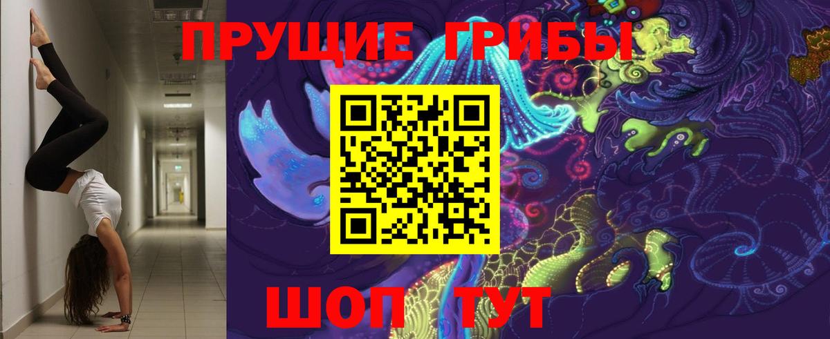 Галлюциногенные грибы GOLDEN TEACHER  магазин продажи   Новоуральск  Вход с VPN 