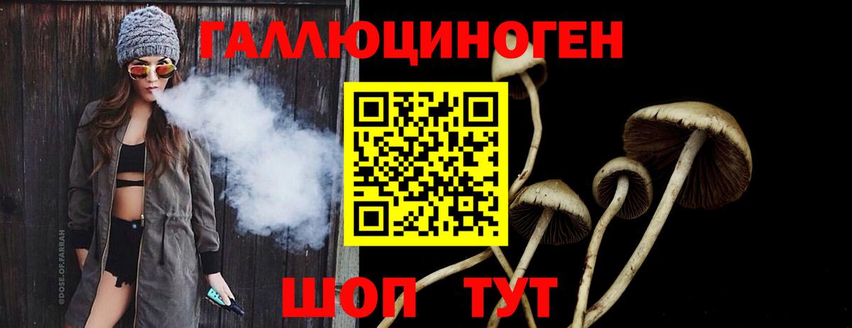 Галлюциногенные грибы Psilocybine cubensis Новоуральск